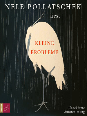 cover image of Kleine Probleme (Ungekürzt)